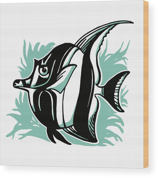 Animal Wood Print featuring the drawing Angelfish by CSA Images