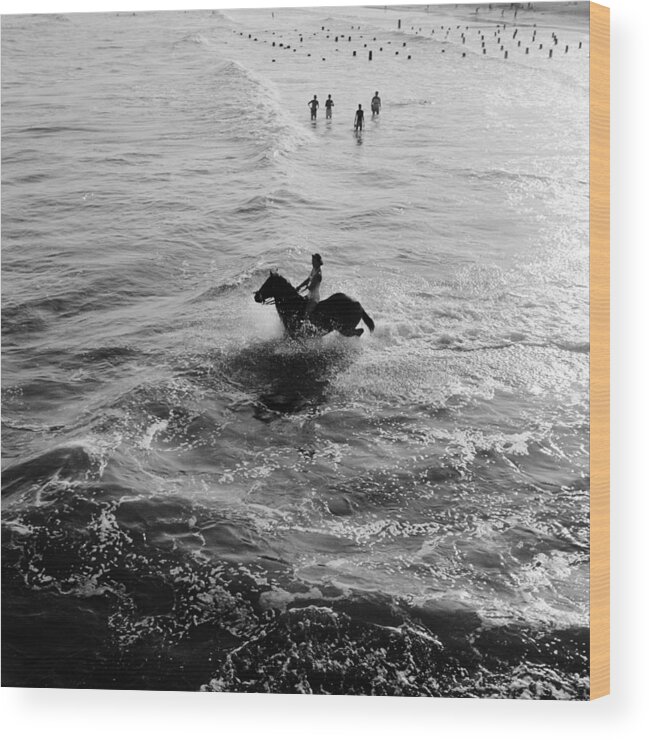 Horse Wood Print featuring the photograph Aquatic Equestrian by Three Lions