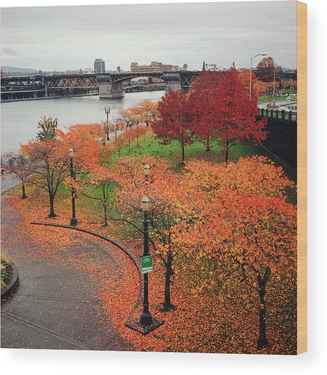Tranquility Wood Print featuring the photograph Autumnal Trees In Downtown Portland by Danielle D. Hughson
