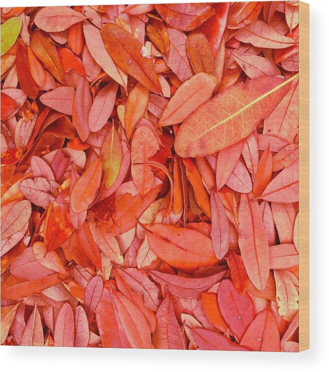 Leaves Wood Print featuring the photograph Autumn's Earth Blanket by Debra Grace Addison