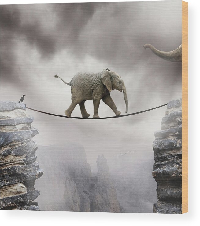 Animal Themes Wood Print featuring the photograph Baby Elephant by By Sigi Kolbe