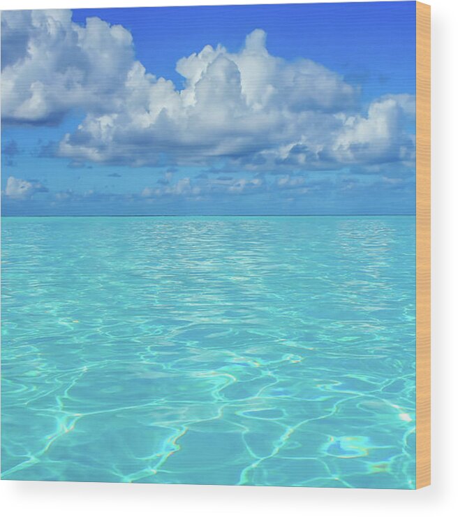 Bahamas Wood Print featuring the photograph Bahama Blues, Half Moon Cay by Dawn Richards