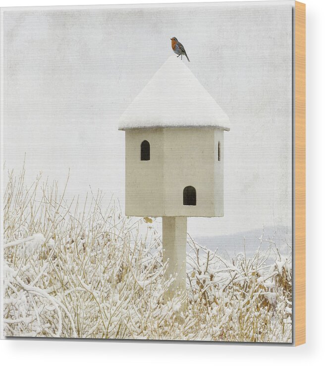 Snow Wood Print featuring the photograph Birdhouse by Anne Hawken