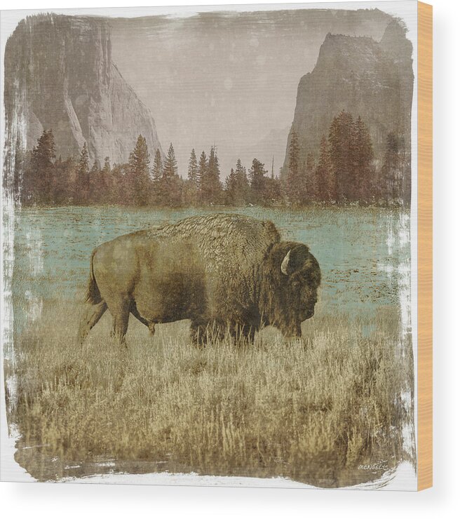 Bison Wood Print featuring the painting Bison In The Park by Dan Meneely