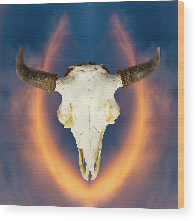 Kansas Wood Print featuring the photograph Bison Skull 001 by Rob Graham