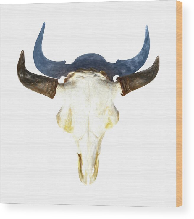 Kansas Wood Print featuring the photograph Bison Skull 003 by Rob Graham