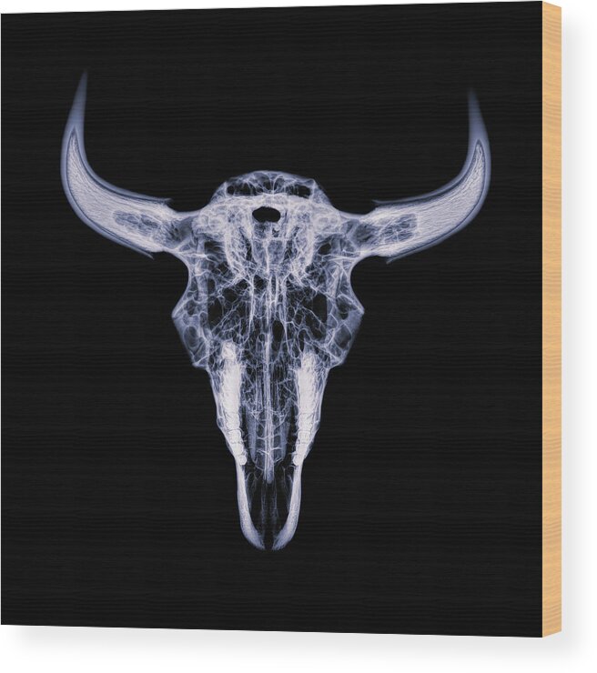 Kansas Wood Print featuring the photograph Bison skull x-ray 01 by Rob Graham