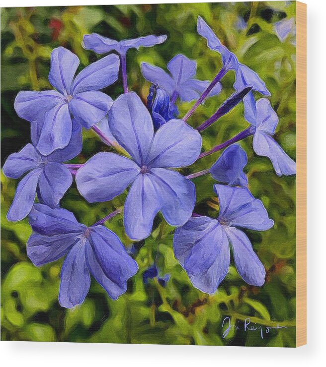 Blue Plumbago Wood Print featuring the photograph Blue Plumbago Flowers by Jori Reijonen