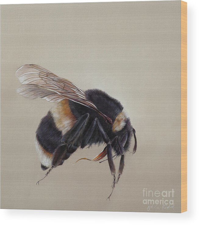 Bee Wood Print featuring the painting Bombus terrestis 8 by Odile Kidd