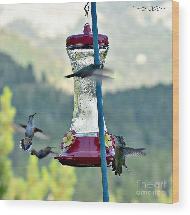 Hummingbirds Wood Print featuring the photograph Busy Time at the Feeder by Dorrene BrownButterfield