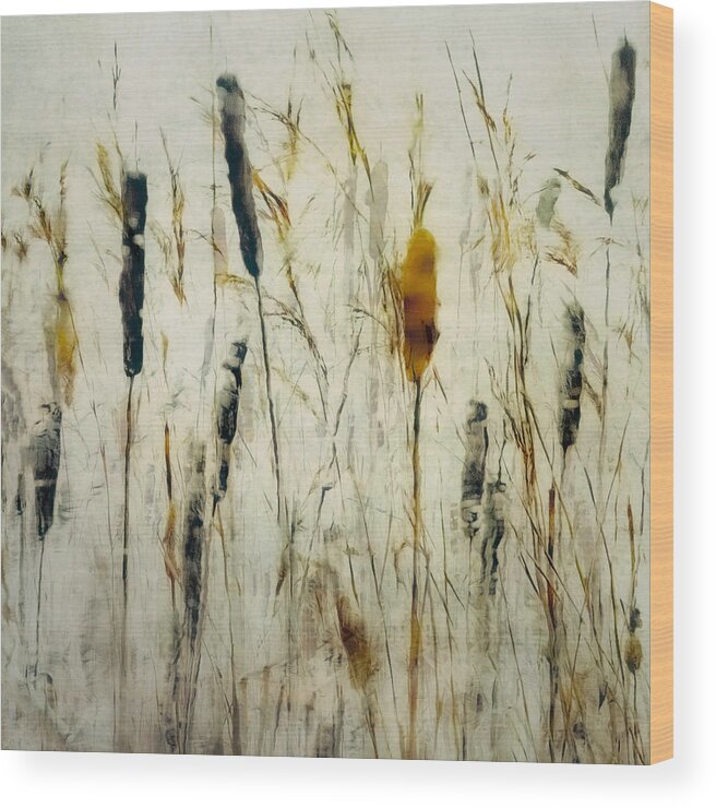 Cattail Wood Print featuring the photograph Cattail And Reeds by Nel Talen