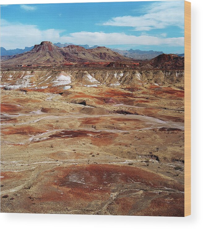 Tranquility Wood Print featuring the photograph Chihuahuan Desert, Big Bend N.p by Oleg Moiseyenko