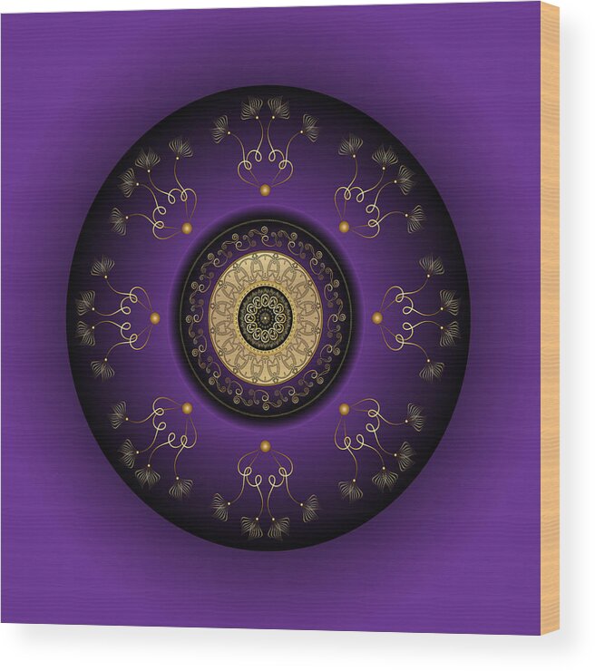 Mandala Wood Print featuring the digital art Circumplexical No 3817 by Alan Bennington