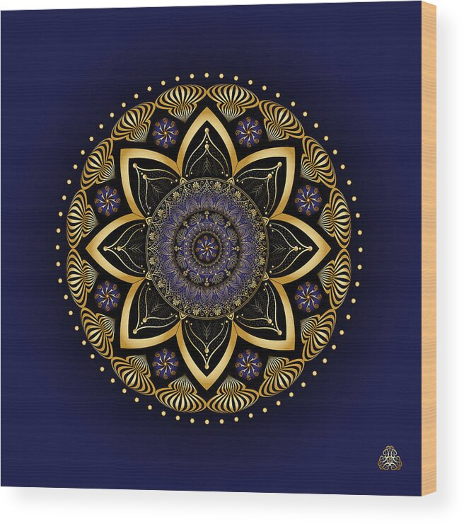 Mandala Wood Print featuring the digital art Circumplexical No 3991 by Alan Bennington