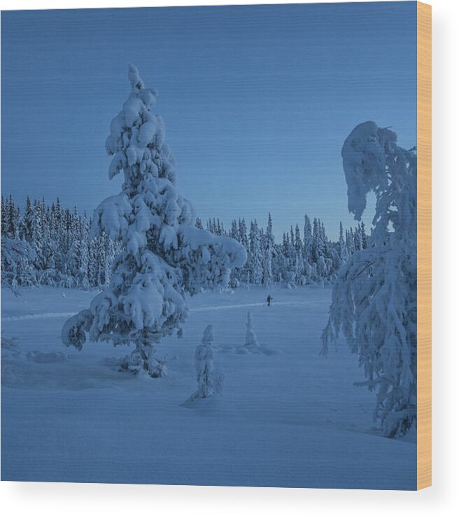 Scenics Wood Print featuring the photograph Cross Country Skiing In The Moonlight by Per Breiehagen