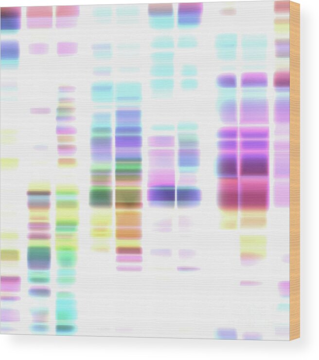 3 Dimensional Wood Print featuring the photograph Dna Sequencing by Mehau Kulyk/science Photo Library