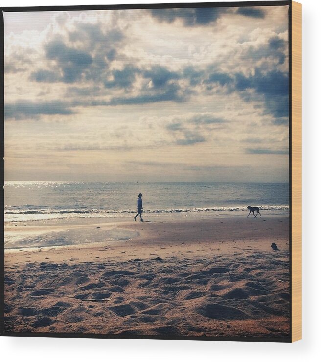 Photo Wood Print featuring the photograph Dog Days by Lisa Burbach