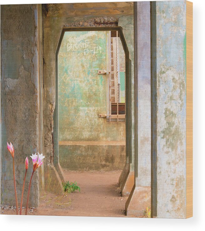 Old Military Structures Wood Print featuring the photograph Doors of Time by Jessica Levant