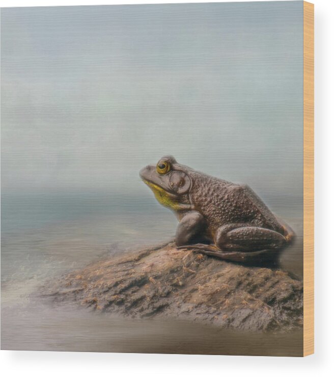 Frog Wood Print featuring the photograph Dreaming by Cathy Kovarik