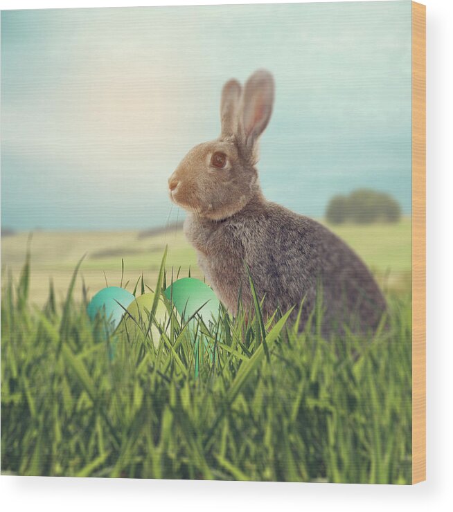 Easter Wood Print featuring the photograph Easter Bunny With Easter eggs on A Bed Of Grass by Ethiriel Photography