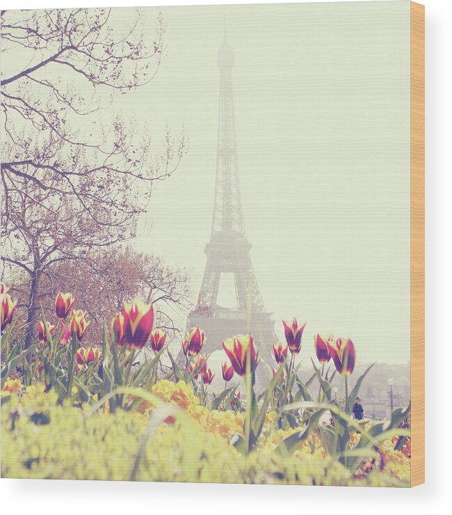 Built Structure Wood Print featuring the photograph Eiffel Tower With Tulips by Gabriela D Costa