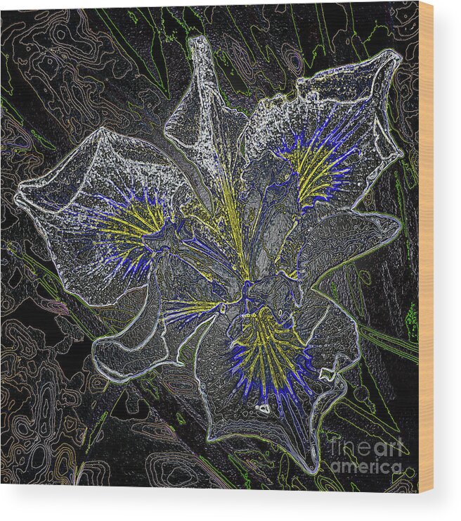 Abstract Wood Print featuring the photograph Floating Orchid by Roslyn Wilkins