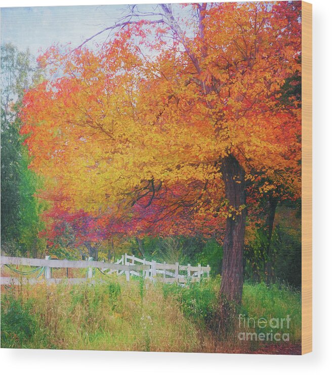 Fall Foliage Wood Print featuring the photograph Foliage by the Farm by Anita Pollak