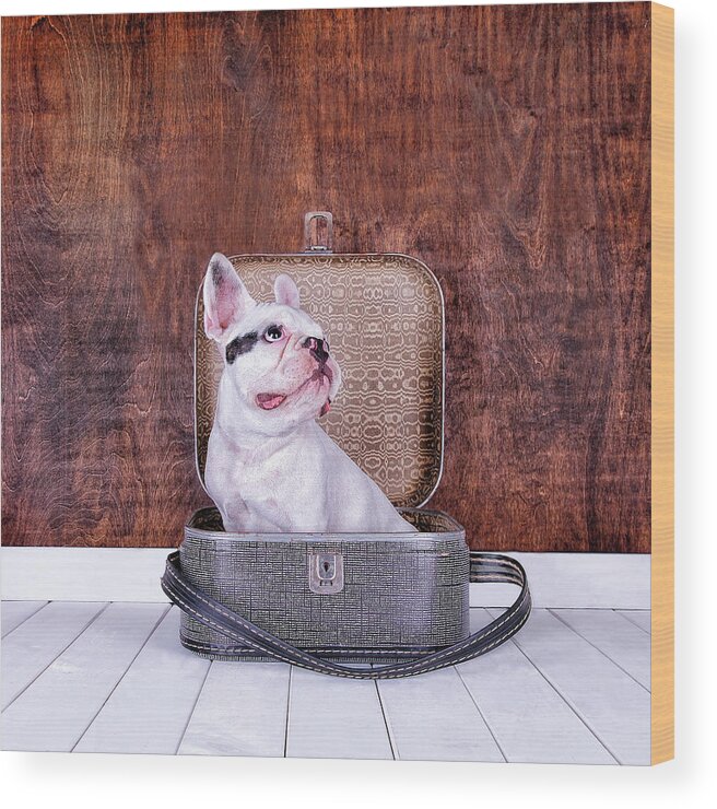 Pets Wood Print featuring the photograph French Bulldog Puppy Inside An Old by Maika 777