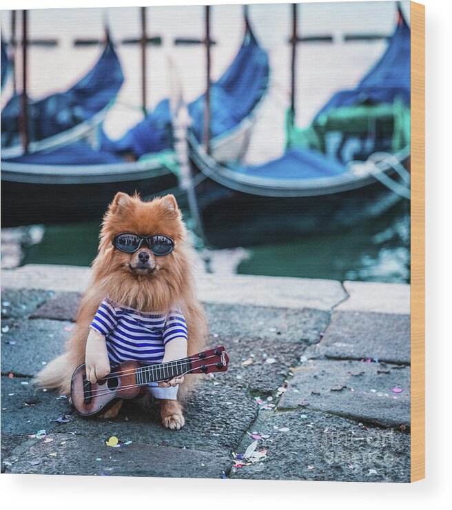 Dog Wood Print featuring the photograph Funny dog at the carnival in Venice by Lyl Dil Creations