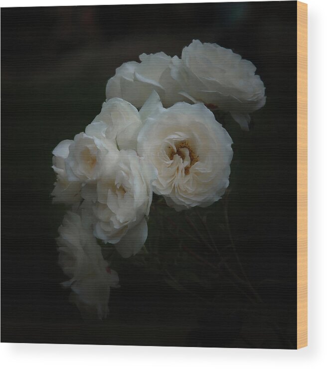 White Rose Wood Print featuring the digital art Garden Bouquet by Ernest Echols