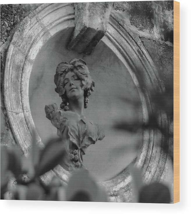 Atlantis Wood Print featuring the photograph Goddess Unknown by Jeff Phillippi