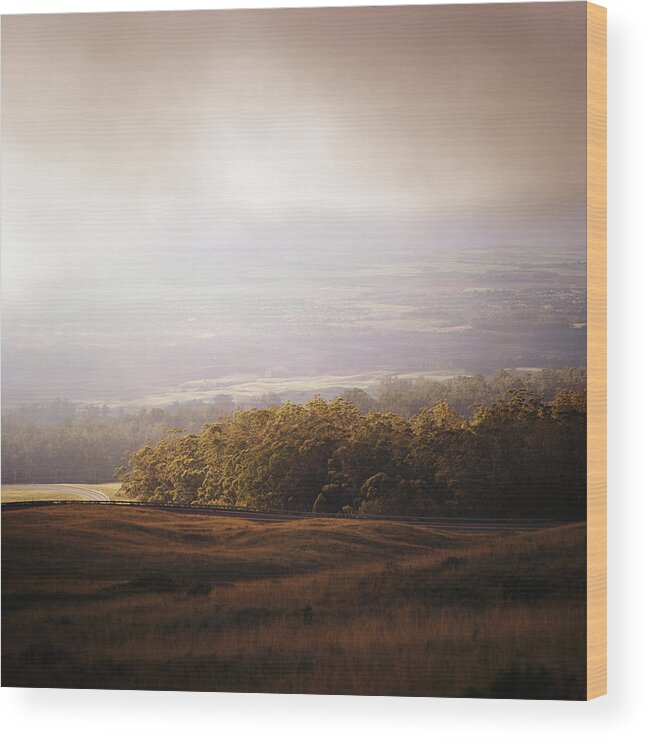 Tranquility Wood Print featuring the photograph Golden Field And Forest Under Low Clouds by Danielle D. Hughson