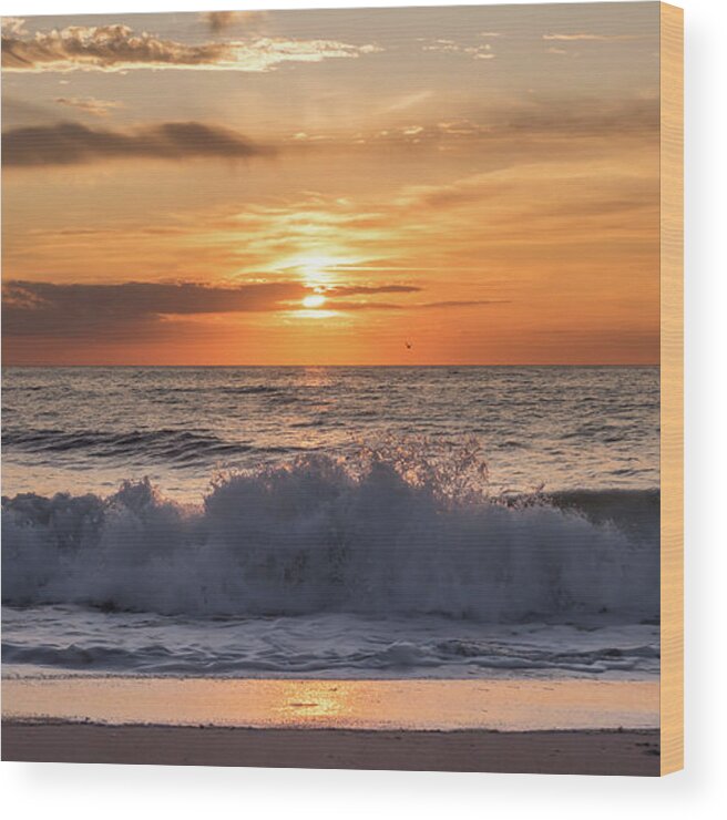 Terry D Photography Wood Print featuring the photograph Good Things Coming Lavallette Beach NJ Square by Terry DeLuco