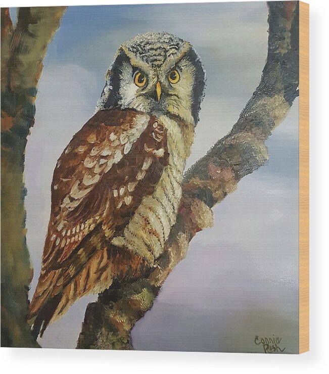 Hawk Owl Wood Print featuring the painting Hawk Owl by Connie Rish