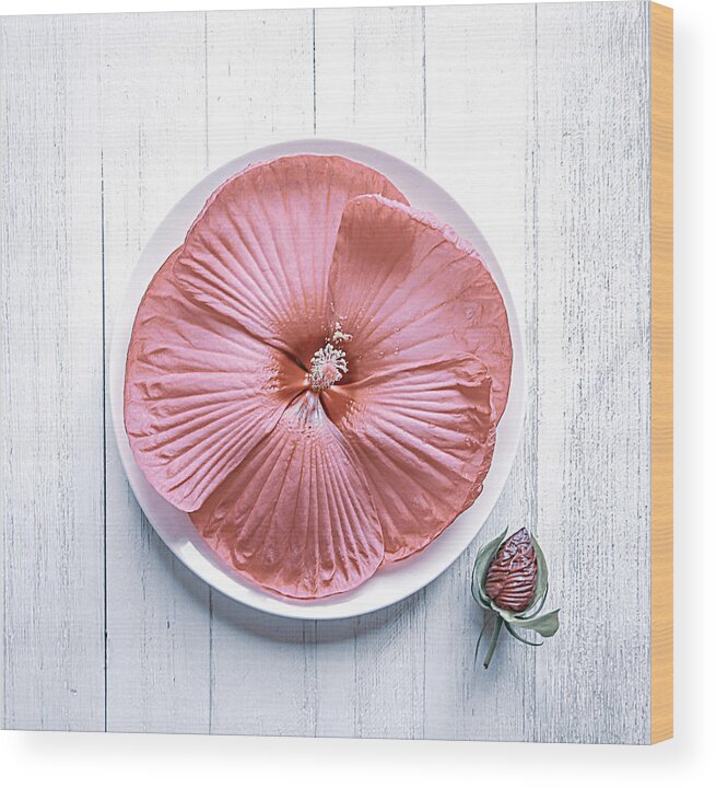 Hibiscus Wood Print featuring the photograph Hibiscus by Fangping Zhou