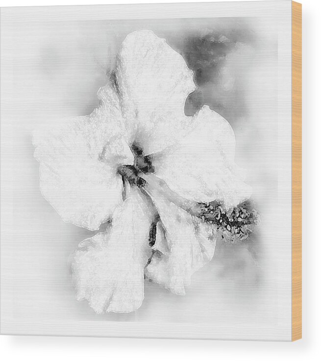 Hibiscus Wood Print featuring the painting Hibiscus by Maria Trad