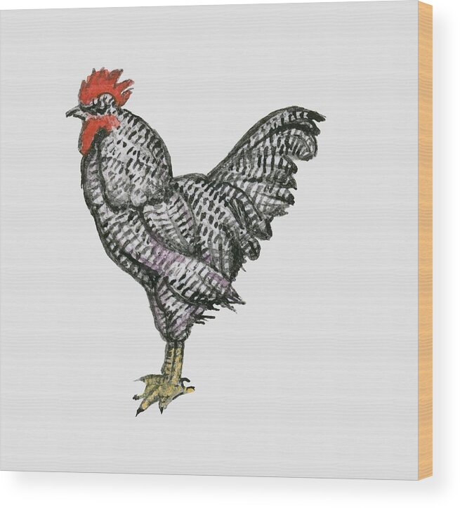 Ink And Brush Wood Print featuring the digital art Illustration Of Plymouth Rock Chicken by Dorling Kindersley
