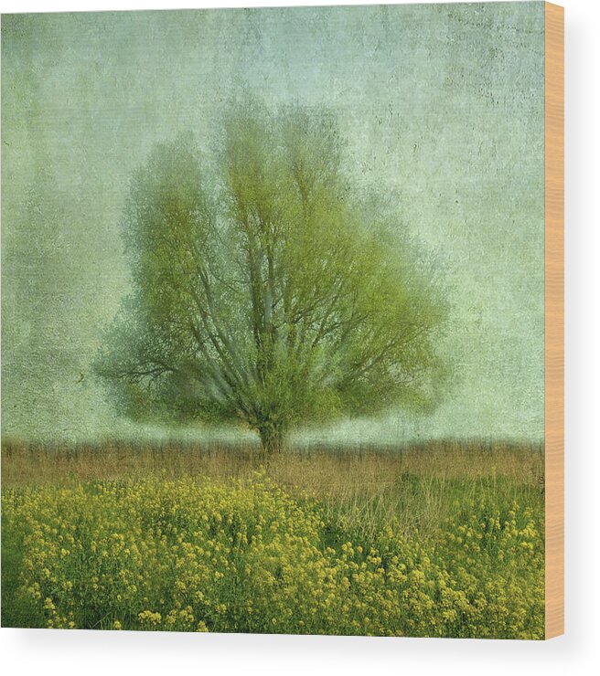 Painterly Wood Print featuring the photograph In The Yellow Field by Jacqueline Van Bijnen