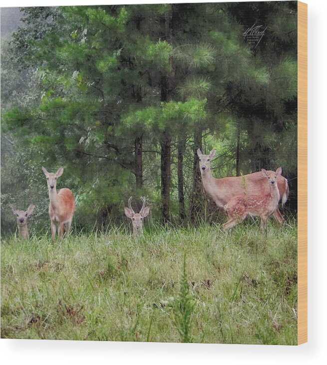 Deer Wood Print featuring the photograph I've Been Spotted by Michael Frank