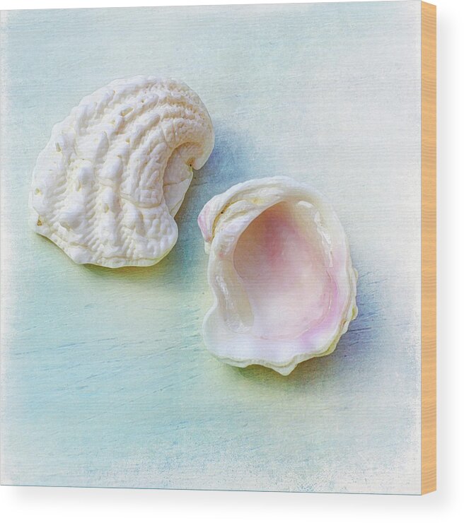 Florida Wood Print featuring the photograph Jewel of the Sea by Kathi Mirto