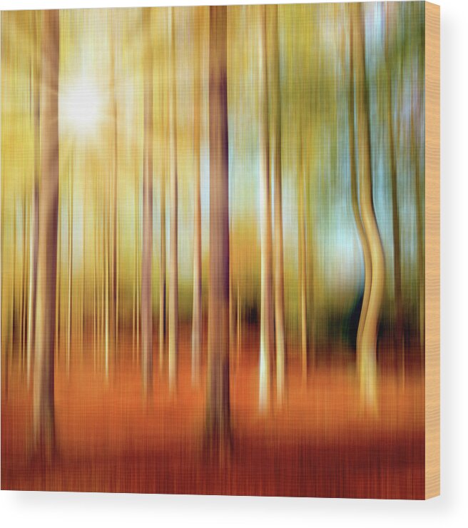 Forest Wood Print featuring the photograph Just a Ripple by Philippe Sainte-Laudy