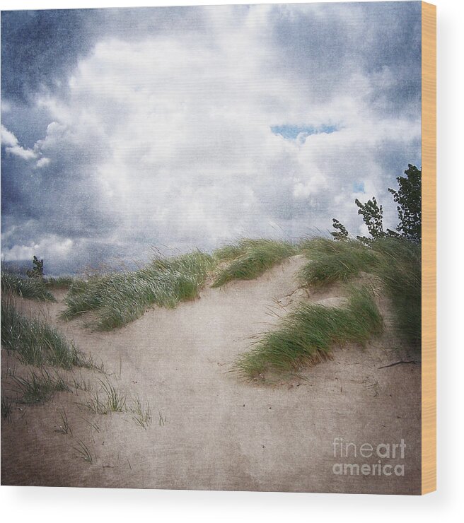 Holland Wood Print featuring the photograph Lake Michigan Sand Dunes by Phil Perkins