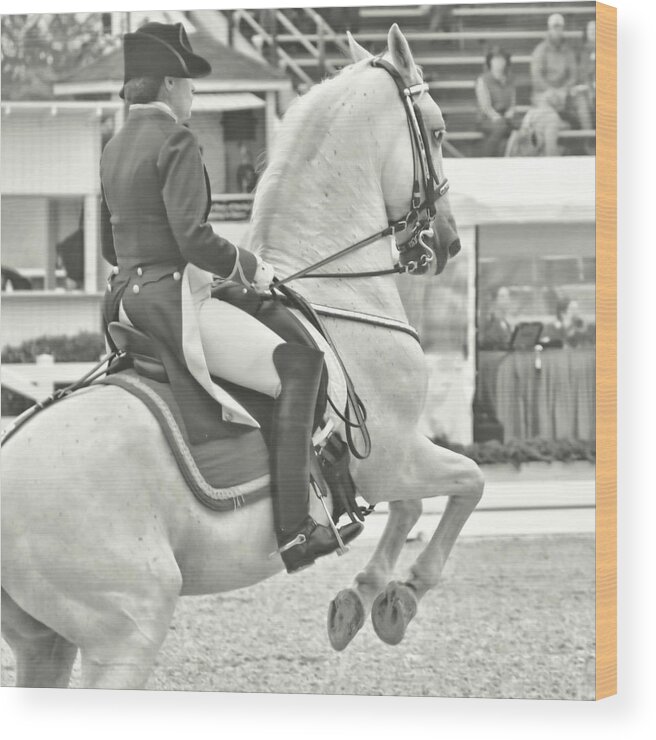 Above Wood Print featuring the photograph Leaping Lipizzaners by Dressage Design