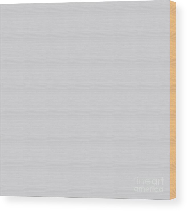 Gray Wood Print featuring the digital art Light Gray Grey by Delynn Addams for Interior Home Decor by Delynn Addams