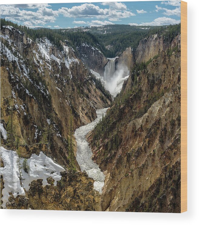 Lower Falls Wood Print featuring the photograph Lower Falls in Yellowstone by Scott Read
