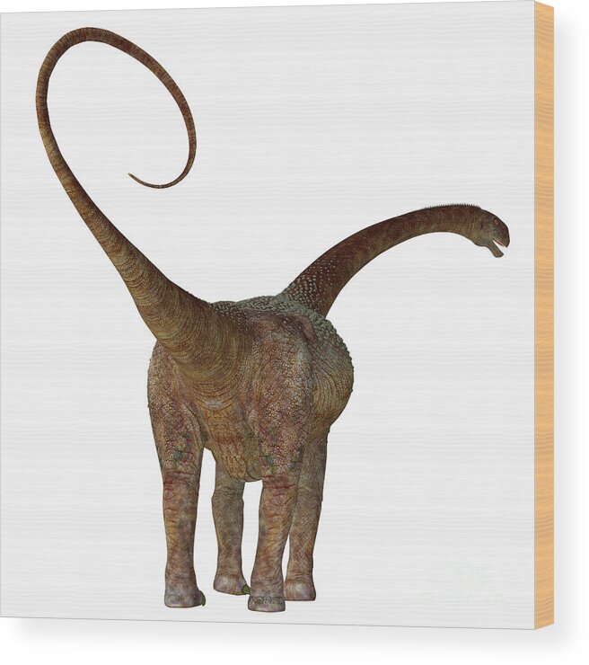 Malawisaurus Wood Print featuring the digital art Malawisaurus Dinosaur Tail by Corey Ford