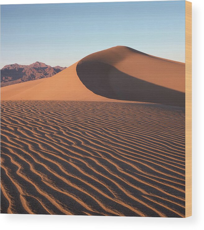 California Wood Print featuring the photograph Mesquite Dunes #1-SQ by Tom Daniel