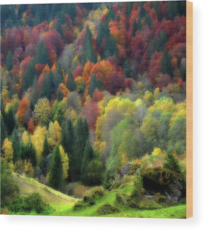 Autumn Wood Print featuring the photograph Nature Palette by Philippe Sainte-Laudy