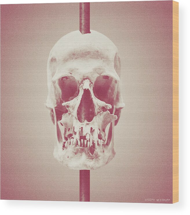 Skull Wood Print featuring the photograph Nostalgia by Joseph Westrupp