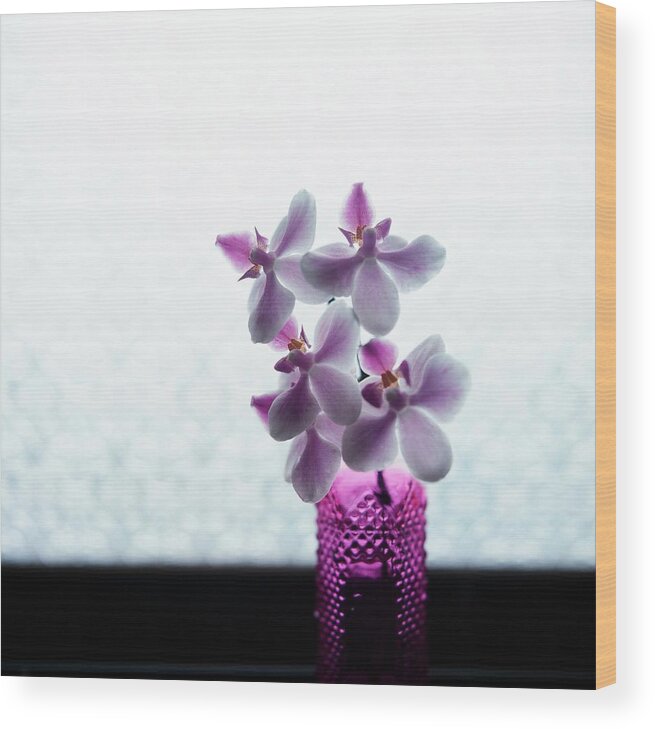 Taiwan Wood Print featuring the photograph Orchid by Photo By Chiangkunta